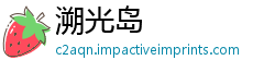 溯光岛